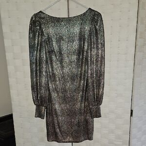 NEW Express Metallic Dress